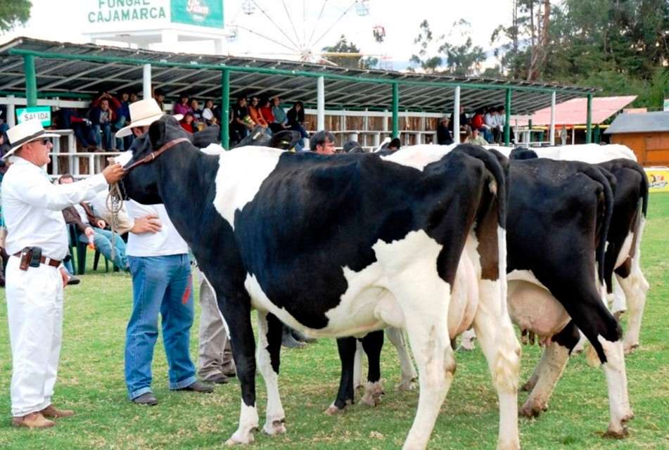 CAJAMARCA ESPERA RECIBIR 40 MIL VISITANTES EN LA FERIA FONGAL 2025