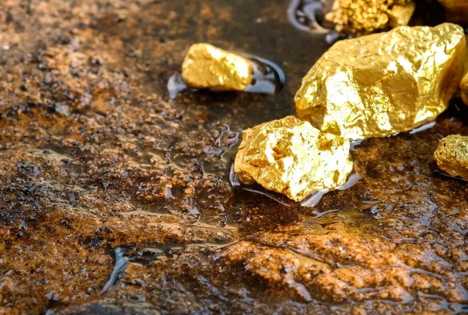 IPE: EXPORTACIONES DE MINERÍA ILEGAL DE ORO PODRÍAN SUPERAR A LA LEGAL ESTE 2025