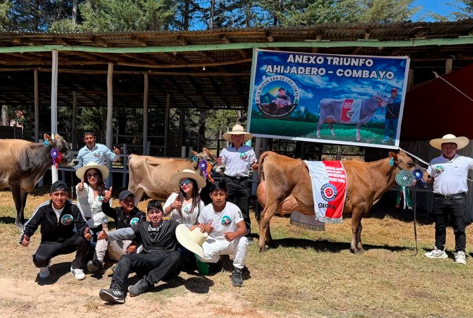 GANADOR EN FONGAL DESTACA MEJORA DE PRODUCCIÓN CON ASISTENCIA TÉCNICA DE GANADEROS DE ALTURA DE NEWMONT FONCREAGRO