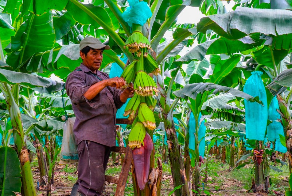 AGRICULTORES DEL VALLE VIEJO DE OLMOS EXIGEN SOLUCIÓN URGENTE ANTE VENCIMIENTO DE CONTRATO DE CONCESIÓN DE AGUA