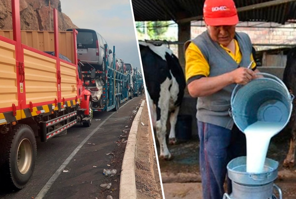 AREQUIPA: PRODUCTORES SE HAN VISTO OBLIGADOS A ARROJAR 750 MIL LITROS DE LECHE POR BLOQUEO DE SUPUESTOS MINEROS