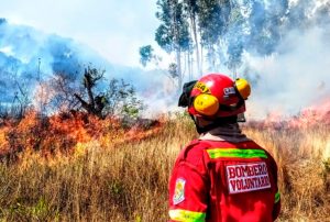 INDECI: LLUVIAS QUE AÚN SE VIENEN PRESENTANDO EN ALGUNAS ZONAS DE CAJAMARCA EVITAN INCEDIOS FORESTALES