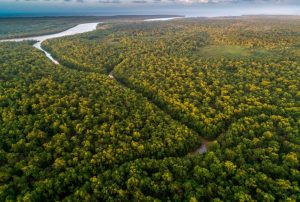 LA AMAZONÍA REQUIERE LEGISLACIÓN CLARA SOBRE PROTECCIÓN DE CABECERAS DE CUENCA HIDROGRÁFICA