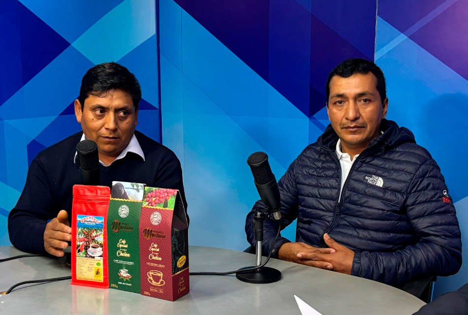 PRODUCTORES DE PUNO Y HUÁNUCO MEJORAN PRODUCCIÓN DE CAFÉ CON APOYO DE DEVIDA