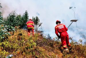CAJAMARCA INTENSIFICA ACCIONES PREVENTIVAS CONTRA INCENDIOS FORESTALES