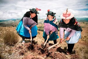 ENTREGAN PRIMEROS PRÉSTAMOS VÍA WARRANT DEL FONDO AGROPERÚ ESTE 2025 ESPERAN SUPERAR LOS S/ 700 MLLS