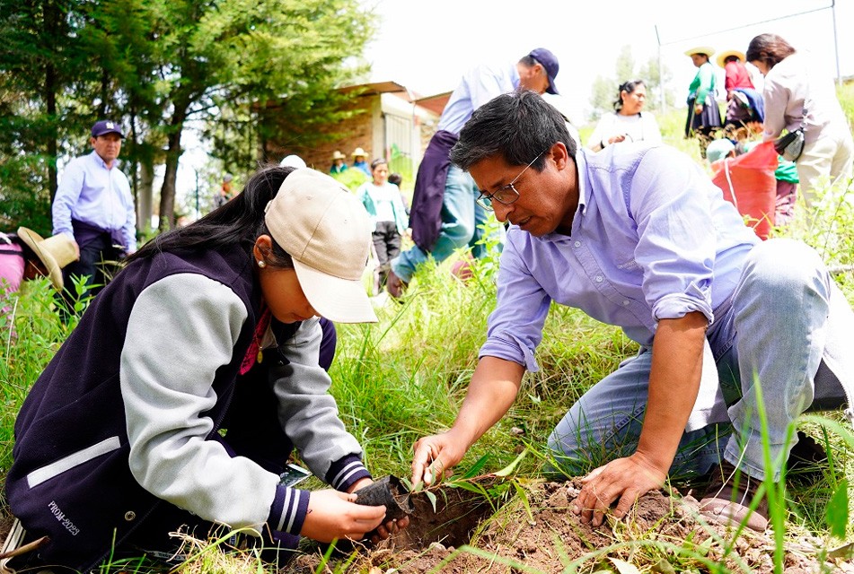HUELLA VERDE: LA REVOLUCIÓN FORESTAL EN EL PAÍS