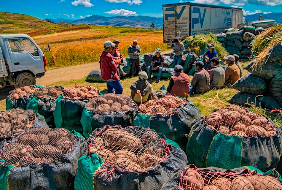 CULTIVIDA: NUEVA LEY DE PROMOCIÓN AGRARIA FOMENTARÁ LA INVERSIÓN Y EL FORTALECERÁ EL EMPLEO EN EL AGRO