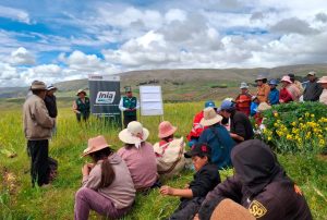 GOBIERNO APRUEBA REGLAMENTO DE LA LEY DE EXTENSIÓN AGROPECUARIA EN BENEFICIO DE MÁS DE 2 MILLONES DE PRODUCTORES