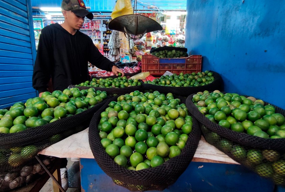 ASEGURAN QUE EL PRECIO DEL LIMÓN SE ESTABILIZARÁ A PARTIR DE SEPTIEMBRE