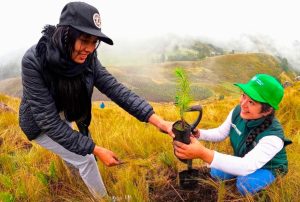 ALIANZA ENTRE LA MUNICIPALIDAD DE LA ENCAÑADA Y EL PROYECTO HUELLA VERDE IMPULSA LA REFORESTACIÓN Y DESARROLLO SOSTENIBLE EN CAJAMARCA