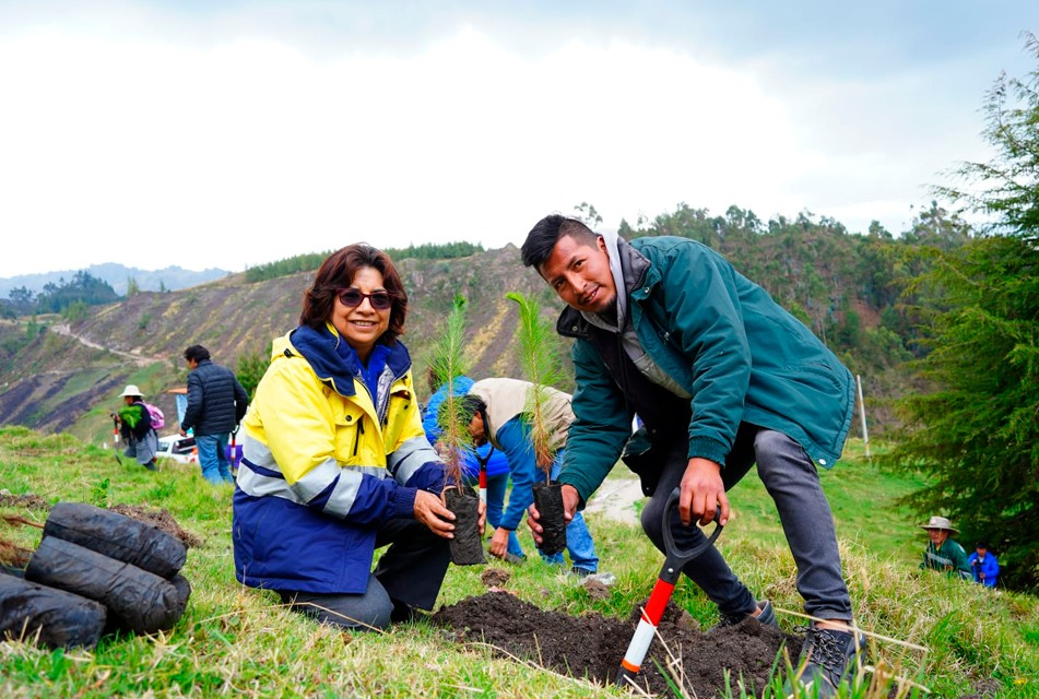‘HUELLA VERDE’ SIEMBRA FUTURO: 100 HECTÁREAS REFORESTADAS, 80 MIL ARBOLES PLANTADOS Y 1,200 FAMILIAS BENEFICIADAS EN BAÑOS DEL INCA