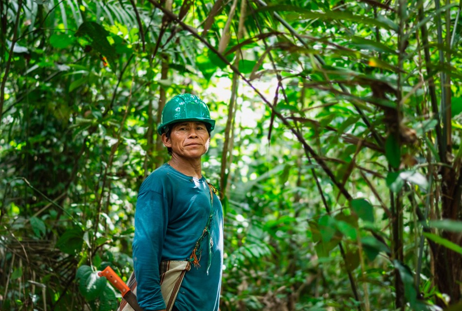 CALIDAD DEL AIRE: COMUNIDADES NATIVAS CONSERVAN MÁS DE 430 MIL HECTÁREAS DE BOSQUES EN UCAYALI