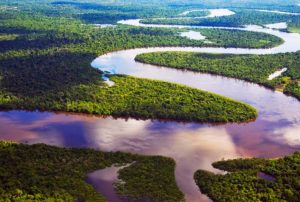 DAVID LANDA: “URGE LA CREACIÓN DE UN FONDO AMAZÓNICO DE COMPENSACIÓN HÍDRICA Y DE CARBONO”