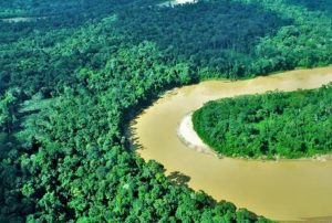 DEL BOSQUE AL CARBONO: NUEVA NARRATIVA AMAZÓNICA PARA REVALORIZAR LOS SERVICIOS ECOSISTÉMICOS