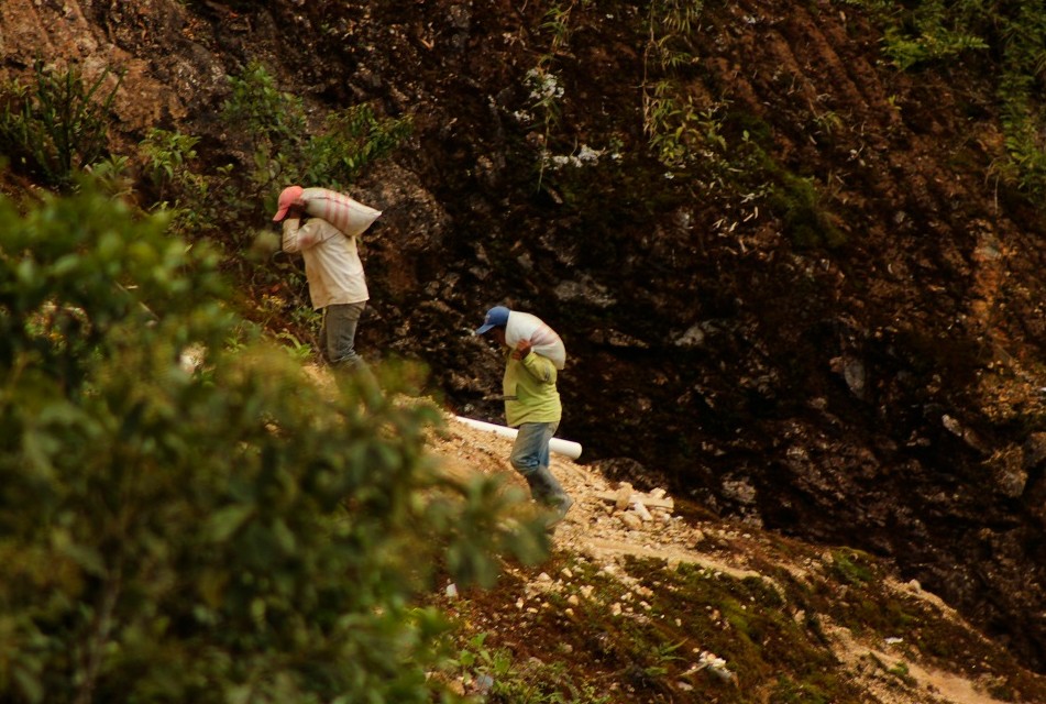 TALA ILEGAL, SOBREEXPLOTACIÓN DE RECURSOS Y MINERÍA ILEGAL ACECHAN AL PARQUE NACIONAL ICHIGKAT MUJA