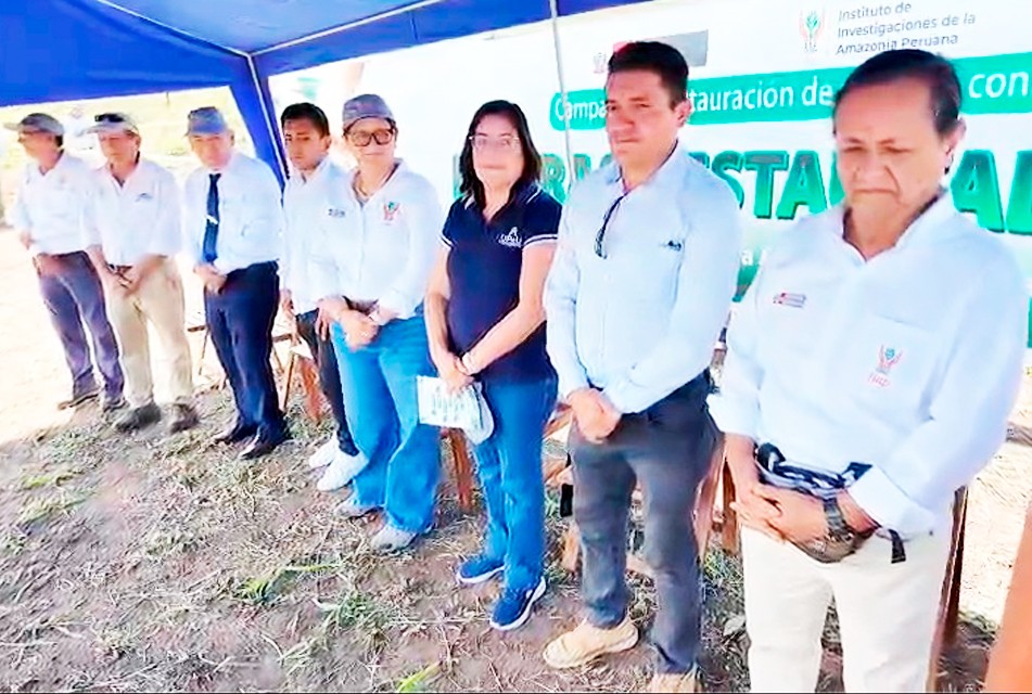 EN LA REGIÓN SAN MARTÍN SE INICIA LA CAMPAÑA 2025 DE RESTAURACIÓN DE BOSQUES AMAZÓNICOS AFECTADOS POR INCENDIOS FORESTALES