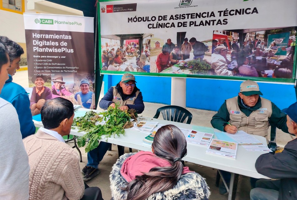 JUNÍN: PRODUCTORES DEL DISTRITO DE COCHAS REDUCEN PÉRDIDAS DE CULTIVOS CON TECNOLOGÍAS ORGÁNICAS