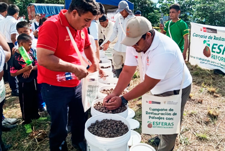 IIAP INICIA CAMPAÑA 2025 DE RESTAURACIÓN DE PAISAJES DAÑADOS POR INCENDIOS FORESTALES EN SAN MARTÍN