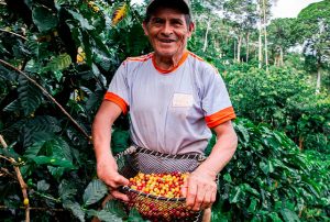 EL PACTO VERDE EUROPEO ESTABLECE LÍMITES Y EXIGE TRAZABILIDAD PARA PRODUCTOS AGRÍCOLAS