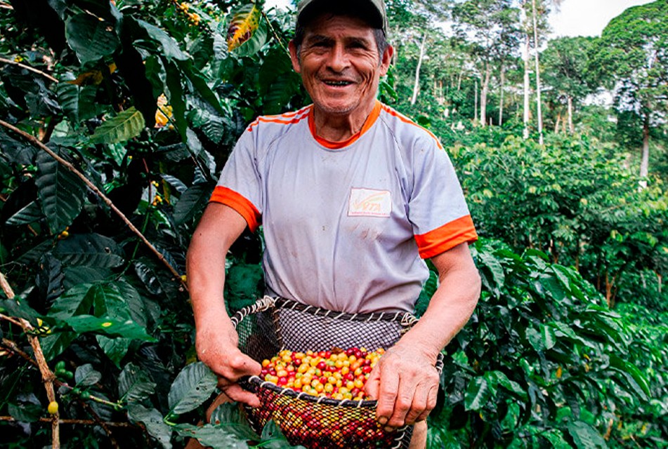 EL PACTO VERDE EUROPEO ESTABLECE LÍMITES Y EXIGE TRAZABILIDAD PARA PRODUCTOS AGRÍCOLAS
