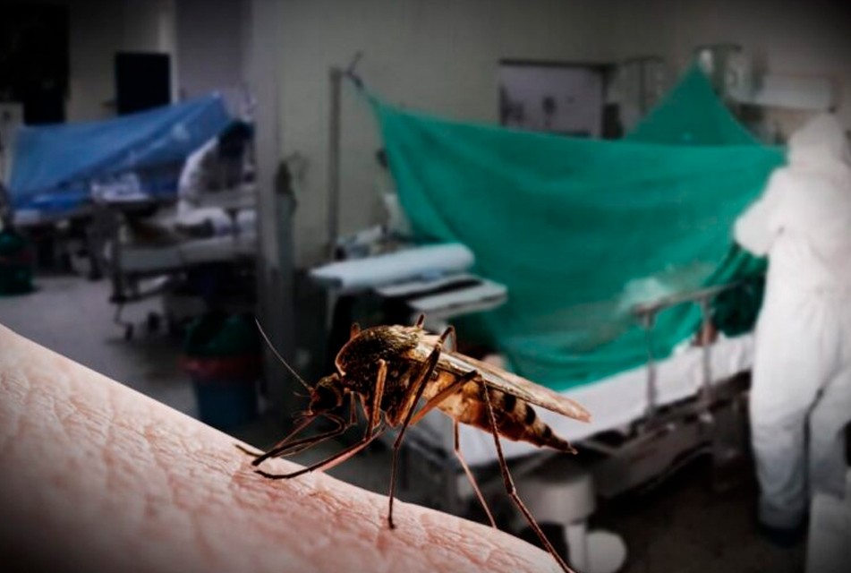 CASOS DE DENGUE SE INCREMENTAN EN PIURA A MEDIDA QUE SE ACERCA EL VERANO