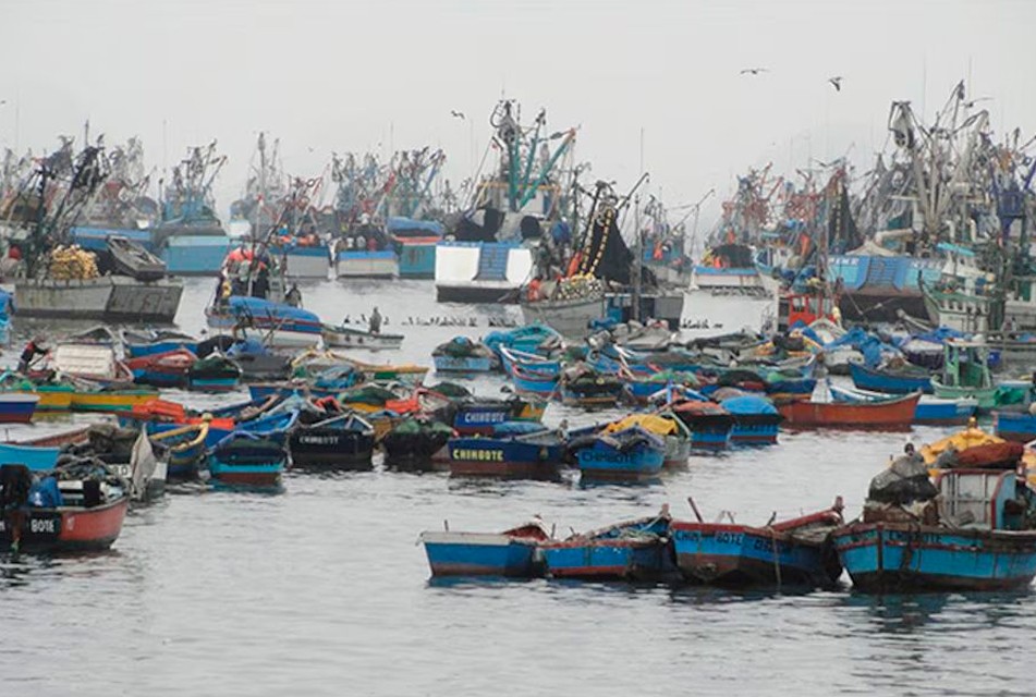 FLOTA ARTESANAL DESCONTROLADA: MÁS DE 23,000 EMBARCACIONES OPERAN EN EL MAR PERUANO SIN REGULACIÓN