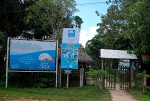 CREA, EL CENTRO DE CRÍA QUE RESCATA Y REHABILITA ANIMALES PROVENIENTES DEL TRÁFICO ILEGAL