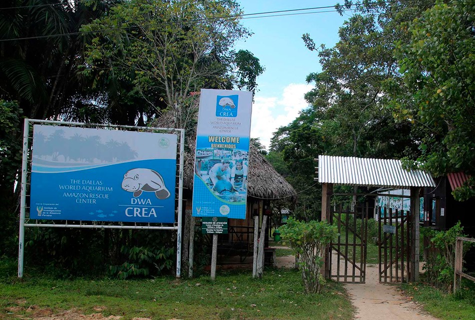 CREA, EL CENTRO DE CRÍA QUE RESCATA Y REHABILITA ANIMALES PROVENIENTES DEL TRÁFICO ILEGAL