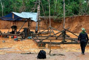 KARINA GARAY: MINERÍA ILEGAL EN PERÚ ES UN NEGOCIO TRANSFRONTERIZO QUE GENERA CRIMINALIDAD