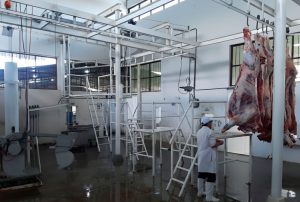 OEFA Y MUNICIPALIDAD DE MOYOBAMBA REVISAN AVANCES PARA MEJORAR EL MANEJO AMBIENTAL DEL CAMAL MUNICIPAL