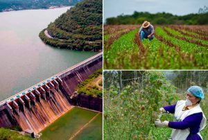 PRESA DE CHONTA VA A MEJORAR EMPLEOS Y PRODUCCIÓN AGRÍCOLA DE CAJAMARCA CON IRRIGACIÓN DE 4 MIL HECTÁREAS DE CULTIVOS 