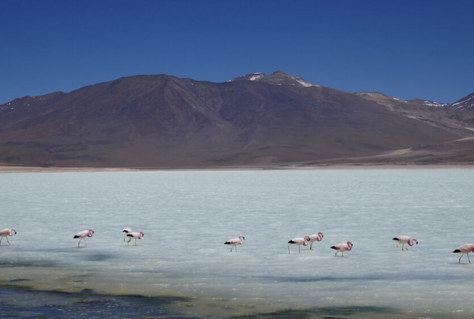 EL BRITISH GEOLOGICAL SURVEY DESTACA EL POTENCIAL GEOLÓGICO DE SUDAMÉRICA COMO EJE CLAVE PARA LA TRANSICIÓN ENERGÉTICA