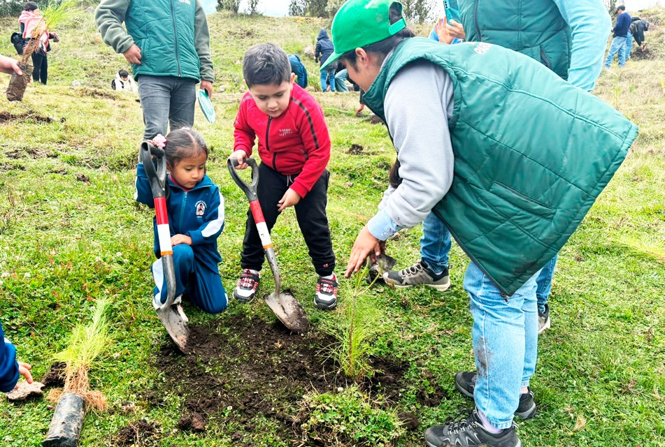 HUELLA VERDE DE NEWMONT FONCREAGRO SUPERA SUS METAS DE FORESTACIÓN EN CAJAMARCA Y APUNTA A LOS 2.5 MILLONES DE PLANTONES