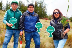 SEMANA FORESTAL: PROYECTAN PLANTAR 2.5 MILLONES DE ÁRBOLES CON GRAN ALIANZA REGIONAL
