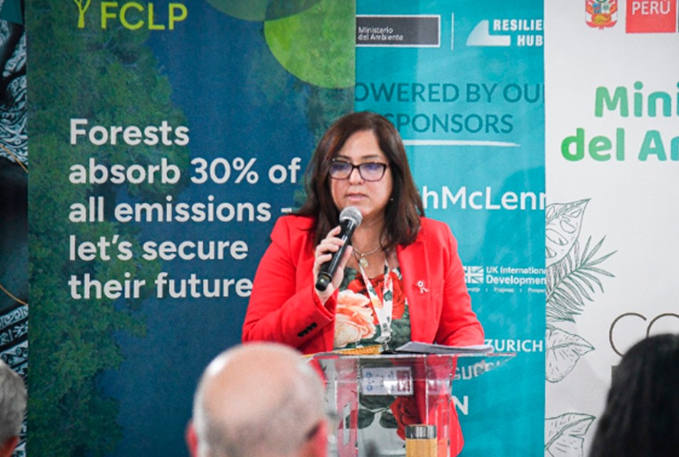 PERÚ IMPULSA EL MARCO NACIONAL DE SERVICIOS CLIMÁTICOS: SENAMHI DESTACA SU ROL ESTRATÉGICO PARA LA ACCIÓN CLIMÁTICA Y RESILIENCIA EN COP30