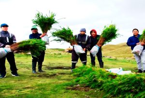 NEWMONT FONCREAGRO TRABAJA CON PROGRAMA BOSQUES PRODUCTIVOS SOSTENIBLES (BPS) PARA PROMOVER MERCADO FORESTAL EN CAJAMARCA