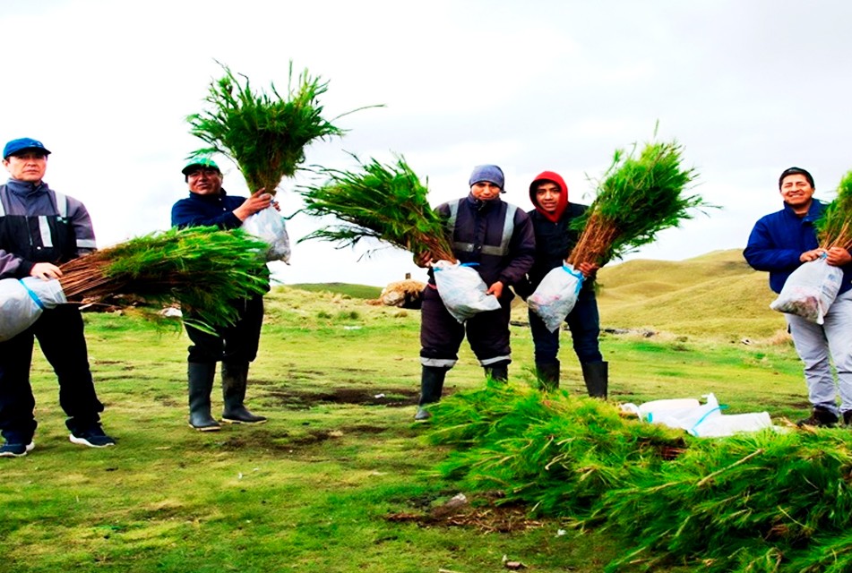 NEWMONT FONCREAGRO TRABAJA CON PROGRAMA BOSQUES PRODUCTIVOS SOSTENIBLES (BPS) PARA PROMOVER MERCADO FORESTAL EN CAJAMARCA