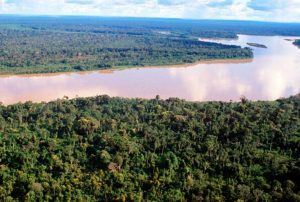LA AMAZONÍA ES UN MEGA ORGANISMO VIVO QUE SUFRE POR LAS PROMESAS ELECTORALES ENFOCADAS EN CARRETERAS