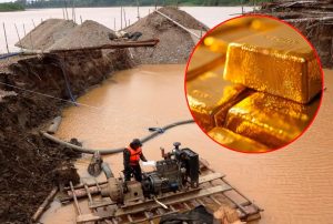 MAFIAS DE LA MINERÍA ILEGAL SE FORTALECEN CON AUMENTO DEL PRECIO INTERNACIONAL DEL ORO