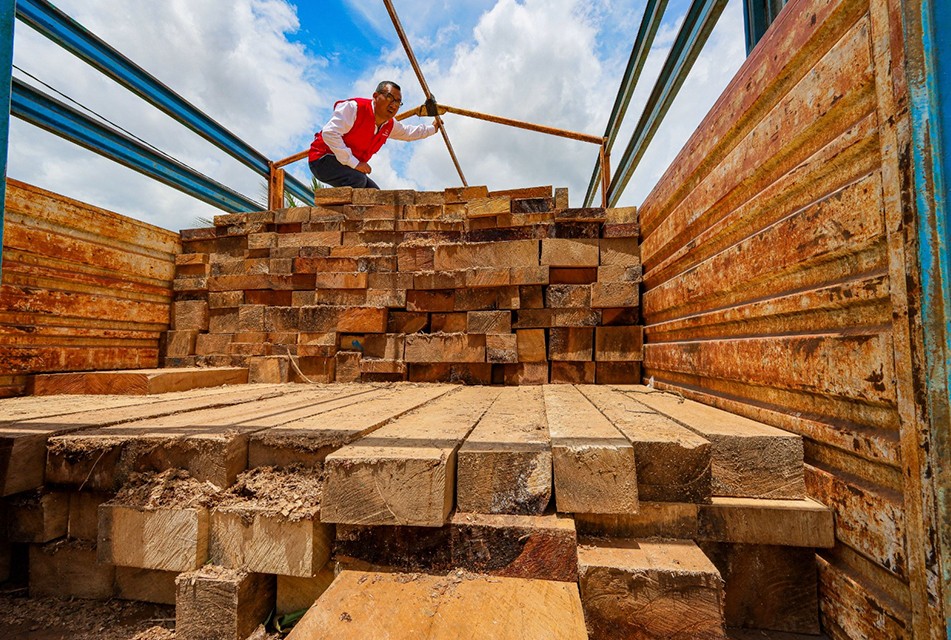 CONTRALORÍA DETECTÓ IRREGULARIDADES EN APROVECHAMIENTO FORESTAL EN MADRE DE DIOS