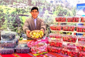 CAJAMARCA: NEWMONT ALAC Y FONDOEMPLEO DESTINAN MÁS DE 2 MILLONES DE SOLES PARA IMPULSAR COMPETITIVIDAD DE PRODUCTORES Y EMPRENDEDORES RURALES