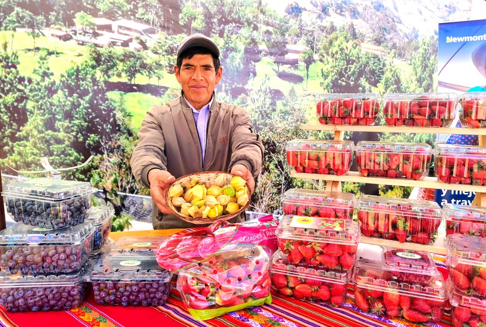 CAJAMARCA: NEWMONT ALAC Y FONDOEMPLEO DESTINAN MÁS DE 2 MILLONES DE SOLES PARA IMPULSAR COMPETITIVIDAD DE PRODUCTORES Y EMPRENDEDORES RURALES