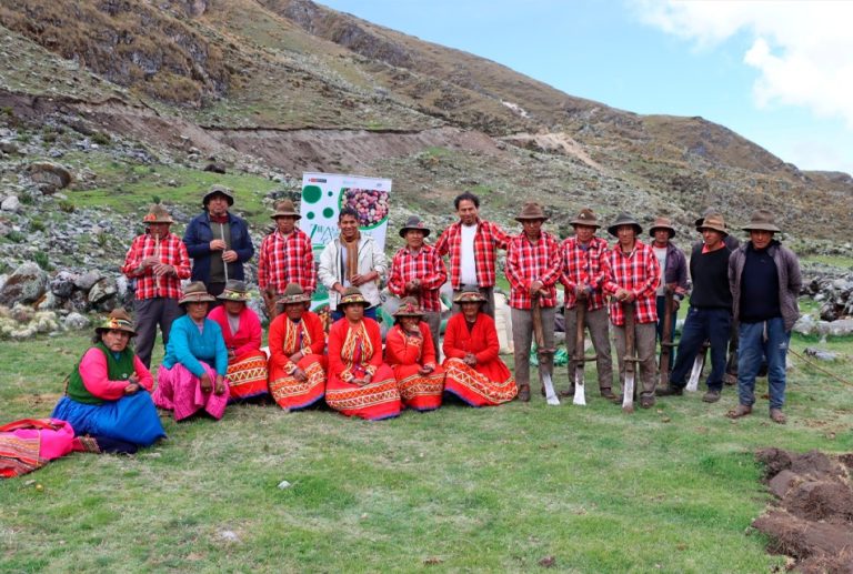 APURÍMAC: INIA INSTALA MATERIAL GENÉTICO PARA CONSERVAR CALIDAD DE PAPA NATIVA EN ZONA DE AGROBIODIVERSIDAD PAYMAKIS