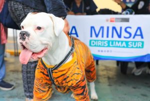 MINSA PROMUEVE LA IMPORTANCIA DE LA TENENCIA RESPONSABLE DE ANIMALES DE COMPAÑÍA