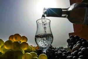 ENVÍOS DE PISCO AL MUNDO CRECIERON 9%