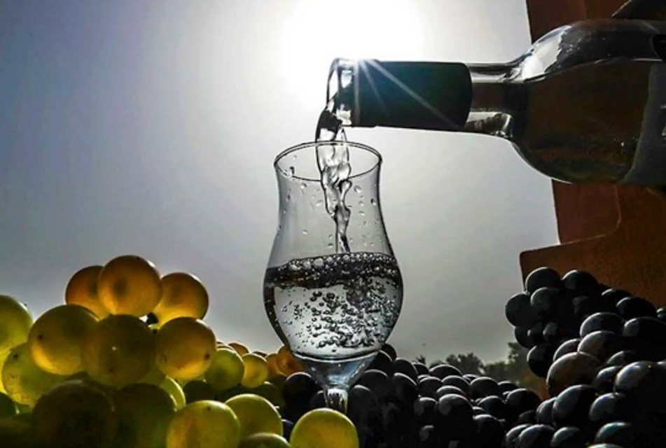 ENVÍOS DE PISCO AL MUNDO CRECIERON 9%