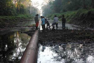 LA AMAZONÍA ES HOY EL PRINCIPAL ASUNTO DE DEFENSA NACIONAL Y SU PROTECCIÓN GARANTIZA LA VIDA DEL PAÍS