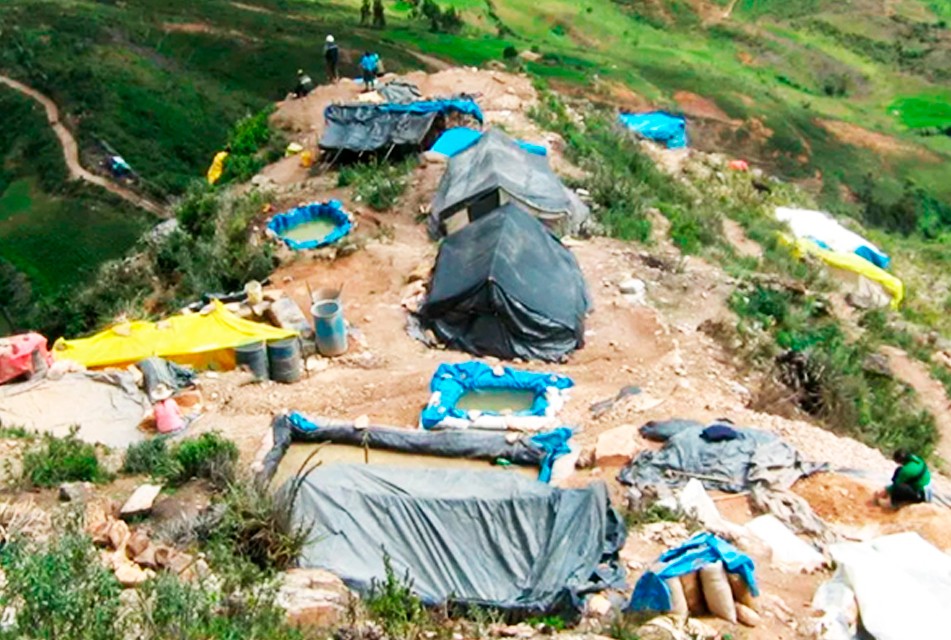 SNMPE: SUSPENSIÓN DE EXCLUSIONES DEL REINFO: UNA MEDIDA NEFASTA PARA EL PERÚ