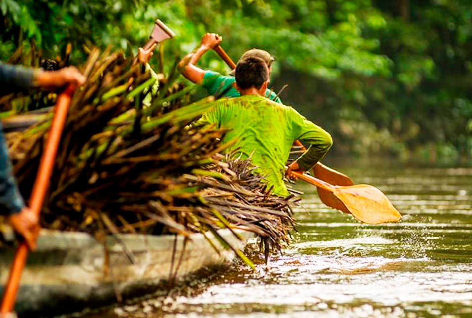 PROPONEN CREAR ZONA ESPECIAL DE DESARROLLO BIOINDUSTRIAL PARA IMPULSAR LA AMAZONÍA PERUANA